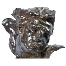 Load image into Gallery viewer, “Le Rhône” Bronze sculpture bust of a man’s head, France, Art Deco. Signed André C. Vermare, c.1910