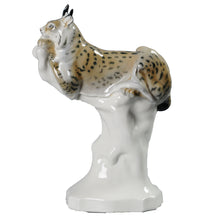 Load image into Gallery viewer, A Meissen porcelain Lynx, posed on a white pedestal base against a plain white background. c.1915