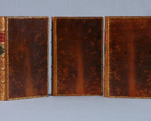 Load image into Gallery viewer, 3 Volume Full Leather set of Macaulay’s Essays